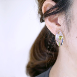 moment-Specimen Earrings（Derphinium） - 第1張的照片