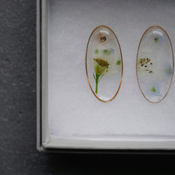 moment-Specimen Earrings（Derphinium） - 第3張的照片