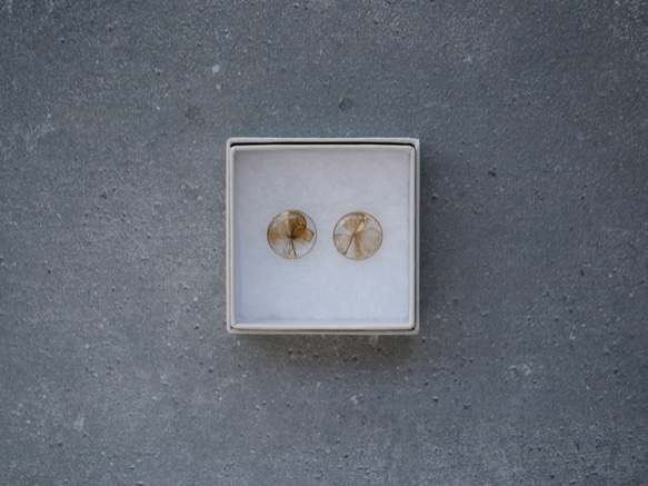 時刻 - 標本耳環（繡球花） - 第1張的照片