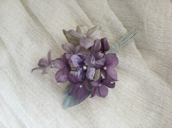 紫陽花(3) 1枚目の画像