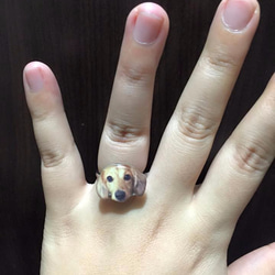 寵物客製化 戒指(戒圍可微調) 第1張的照片
