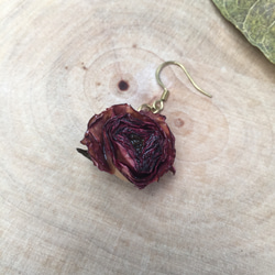 花系列》玫瑰乾燥花兒耳環-單隻 第2張的照片