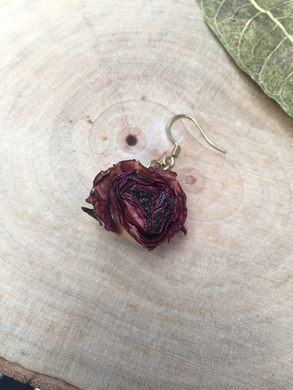 花系列》玫瑰乾燥花兒耳環-單隻 第2張的照片