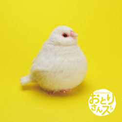 おとりさんズ no.511 ふくふく白文鳥 3枚目の画像