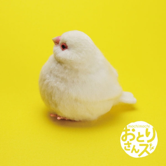 おとりさんズ no.511 ふくふく白文鳥 5枚目の画像