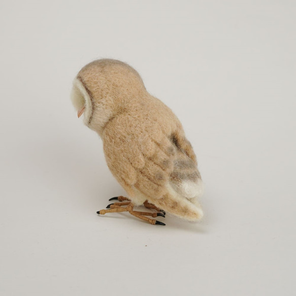 羊毛でできた小鳥 no.341 メンフクロウ 4枚目の画像