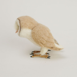 羊毛製成的小鳥No.343穀倉貓頭鷹 第4張的照片