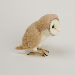 羊毛製成的小鳥No.343穀倉貓頭鷹 第6張的照片