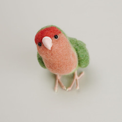 一隻由羊毛製成的小鳥No.382 第1張的照片