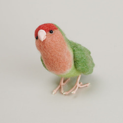 一隻由羊毛製成的小鳥No.382 第2張的照片