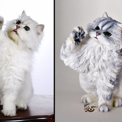 【Yinyingmeow】ChinchillaCat1 / 2th×Sculpture×モデルデコレーション▲Chinchill 5枚目の画像