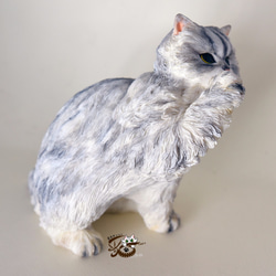 【Yinyingmeow】ChinchillaCat1 / 2th×Sculpture×モデルデコレーション▲Chinchill 6枚目の画像