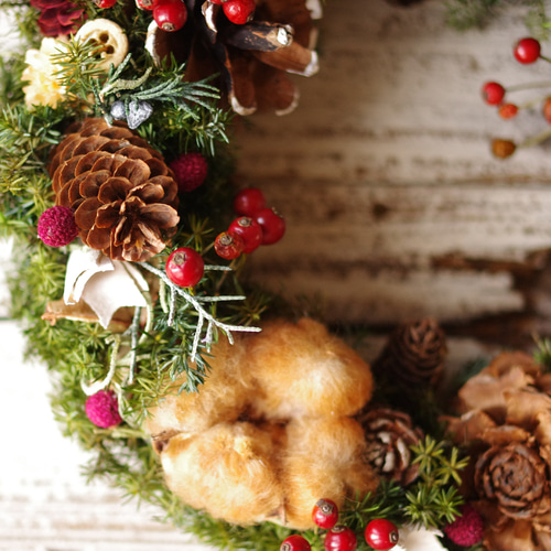 野バラの実やベルギーナッツを紡いだ　ベル付き　三日月　クリスマス　リース 野バラの実やベルギーナッツを紡いだ ベル付き 三日月