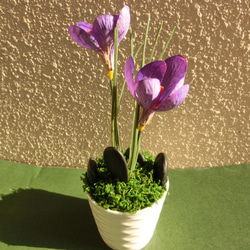 サフラン　ミニ盆栽（フェイク） 光触媒加工　ギフト　可愛いインテリアグッズ 5枚目の画像