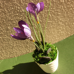 サフラン　ミニ盆栽（フェイク） 光触媒加工　ギフト　可愛いインテリアグッズ 6枚目の画像