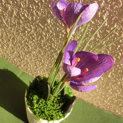 サフラン　ミニ盆栽（フェイク） 光触媒加工　ギフト　可愛いインテリアグッズ 7枚目の画像