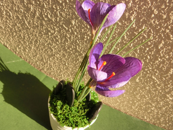 サフラン　ミニ盆栽（フェイク） 光触媒加工　ギフト　可愛いインテリアグッズ 7枚目の画像