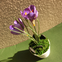 サフラン　ミニ盆栽（フェイク） 光触媒加工　ギフト　可愛いインテリアグッズ 8枚目の画像