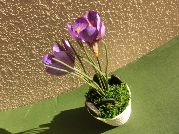 サフラン　ミニ盆栽（フェイク） 光触媒加工　ギフト　可愛いインテリアグッズ 8枚目の画像