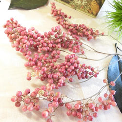 枝付きペッパーベリー（ピンク）　ハーバリウム、アロマワックス、スワッグ、ボタニカルキャンドル他花材 1枚目の画像