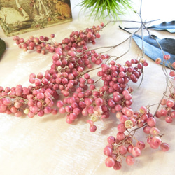 枝付きペッパーベリー（ピンク）　ハーバリウム、アロマワックス、スワッグ、ボタニカルキャンドル他花材 3枚目の画像
