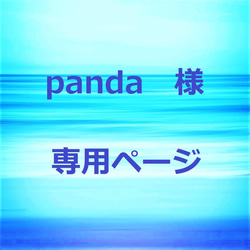 panda様　専用ページ 1枚目の画像