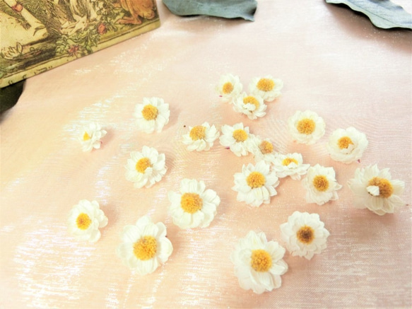 花かんざしヘッド（小）20個　ハーバリウム、アロマワックス、スワッグ、ボタニカルキャンドル他花材 5枚目の画像