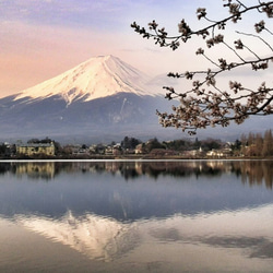 思い出ライト オーダー】富士山 写真 景色 フォト 展示会
