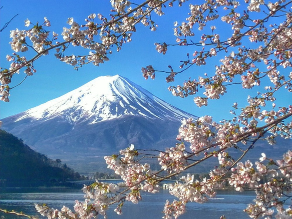 世界遺産 富士山 写真 A4又は2L版 額付き 1枚目の画像