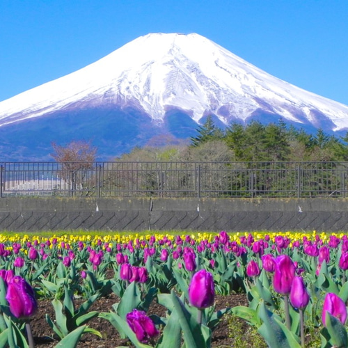 フォトパネル②■阿蘇くじゅう国立公園■A1サイズ■フレーム付 フォトパネル②□阿蘇くじゅう国立公園□A1サイズ□フレーム付