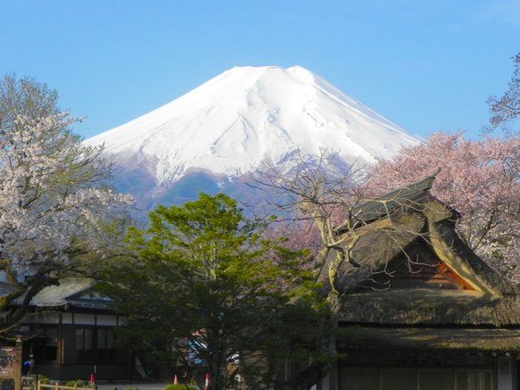 富士山・はやぶさ　日本海　　富士　デザインコレクション 富士山・はやぶさ 日本海 富士 デザインコレクション