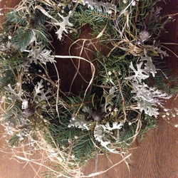 naturaldry whitemix wreathe 1枚目の画像