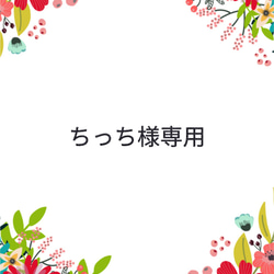 【ちっち様専用】 1枚目の画像