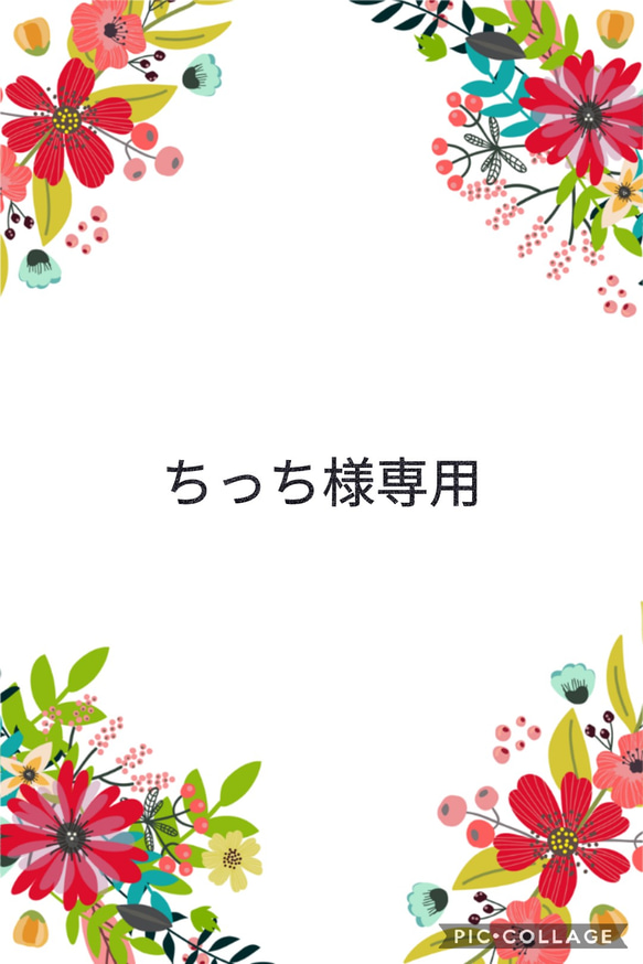 【ちっち様専用】 1枚目の画像