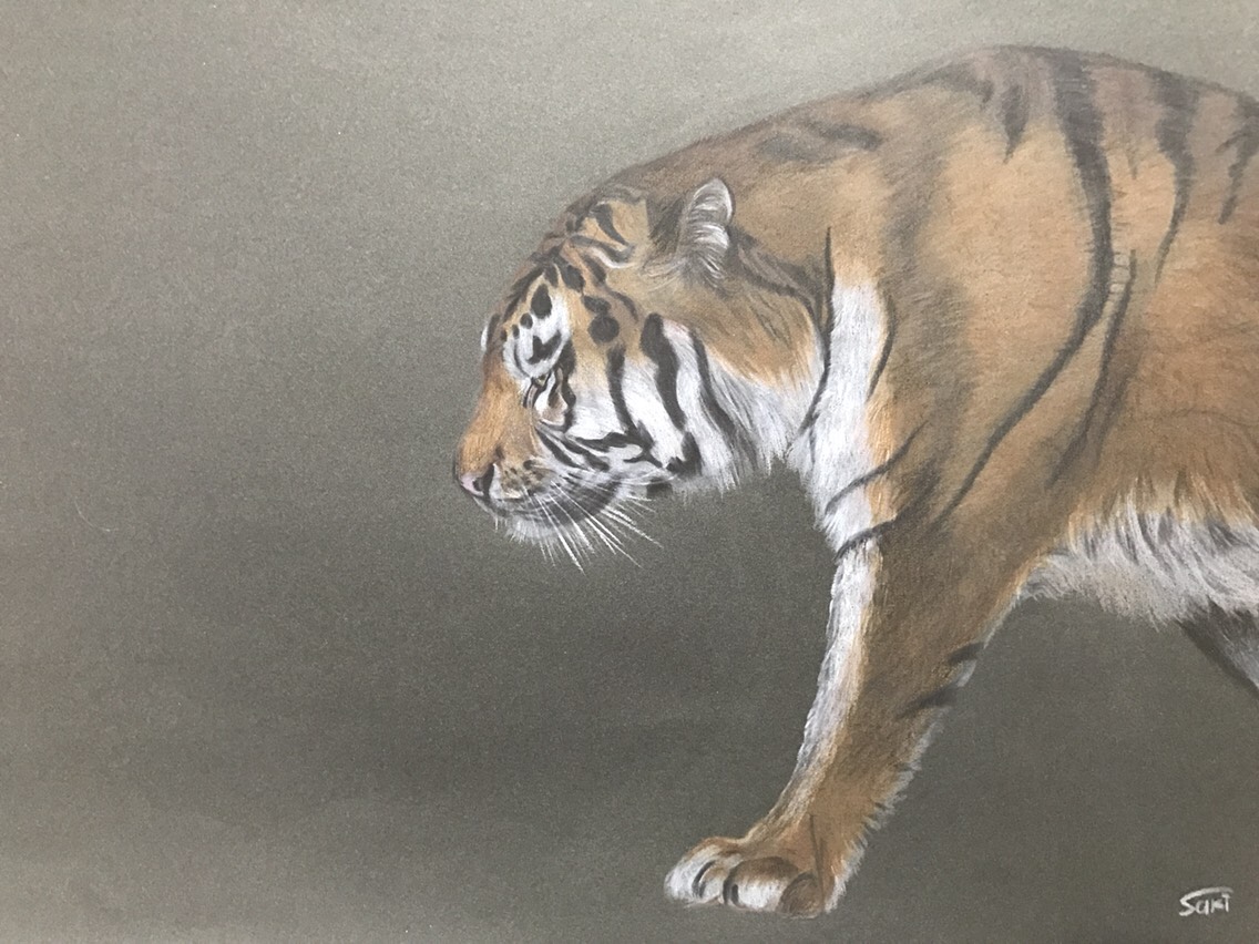 絵画【虎】(横) 絵画 Saki 通販 3733681｜Creema(クリーマ)