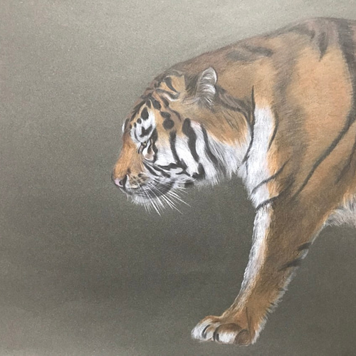 絵画【虎】(横) 絵画 Saki 通販 3733681｜Creema(クリーマ)