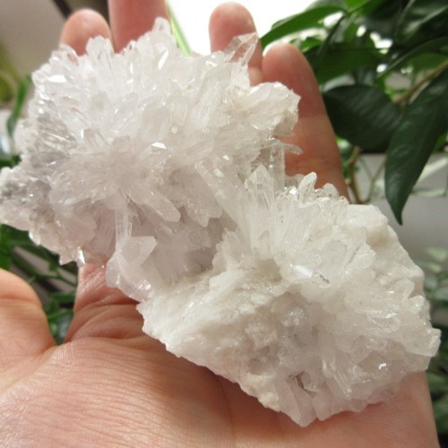 水晶クラスター　菊花 菊花水晶のクラスター Chrysanthemum Clear Quartz Cluster