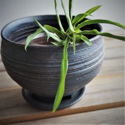 【陶器】マットな黒い植木鉢　受皿付き　送料無料 2枚目の画像