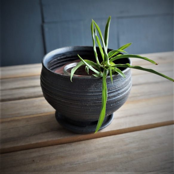 【陶器】マットな黒い植木鉢　受皿付き　送料無料 7枚目の画像