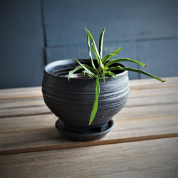 【陶器】マットな黒い植木鉢　受皿付き　送料無料 10枚目の画像
