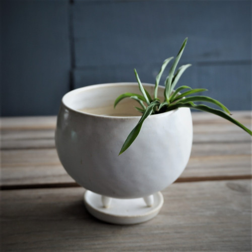 ytyf ceramics 貴重な植木鉢5点セット検)カタチ製作所 valiem ytyf