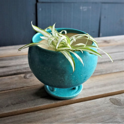 【陶器】トルコ青の植木鉢　送料無料 3枚目の画像