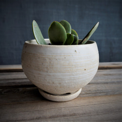 【陶器】白い植木鉢　③　　送料無料 3枚目の画像