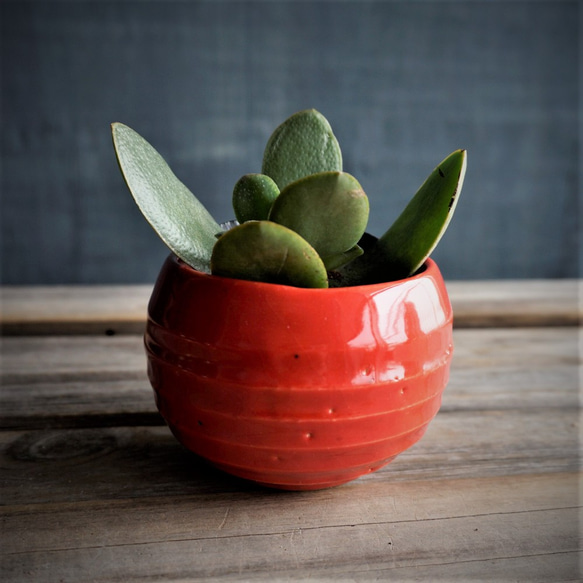 【陶器】赤のミニ鉢カバー　送料無料 1枚目の画像