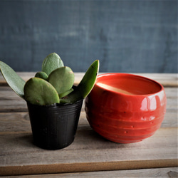 【陶器】赤のミニ鉢カバー　送料無料 5枚目の画像