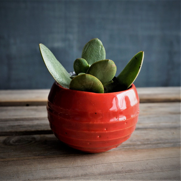 【陶器】赤のミニ鉢カバー　送料無料 10枚目の画像