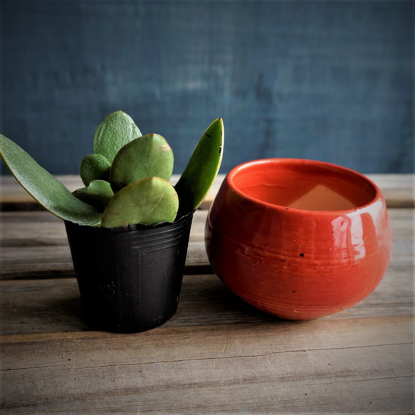 【陶器】赤のミニ鉢カバー　送料無料 4枚目の画像