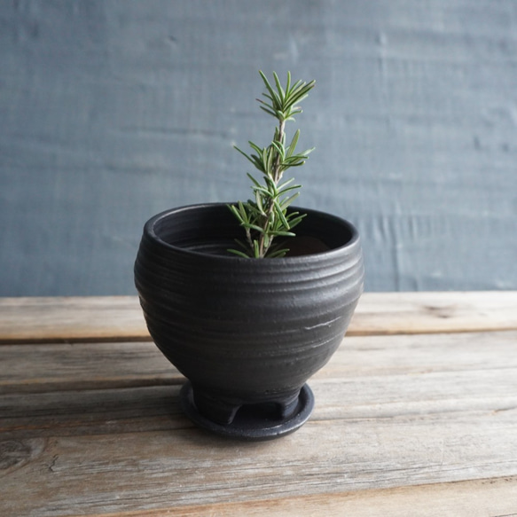 【陶器】黒い植木鉢　送料無料 2枚目の画像