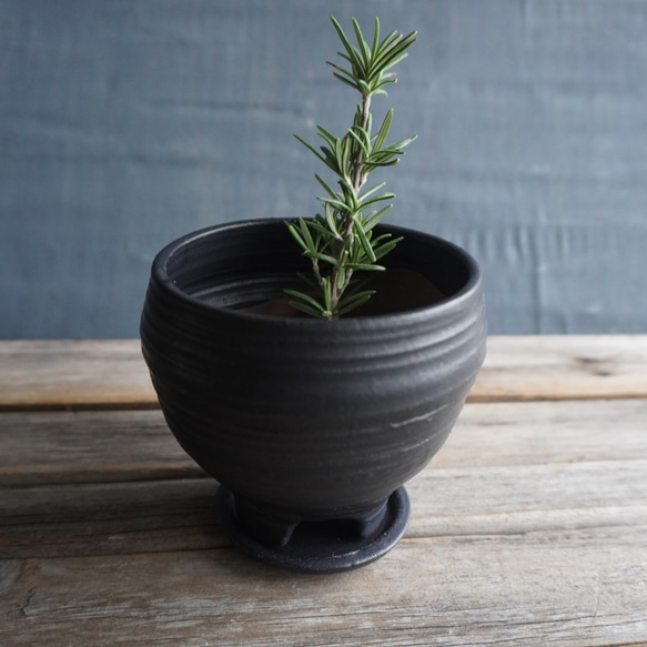【陶器】黒い植木鉢　送料無料 3枚目の画像
