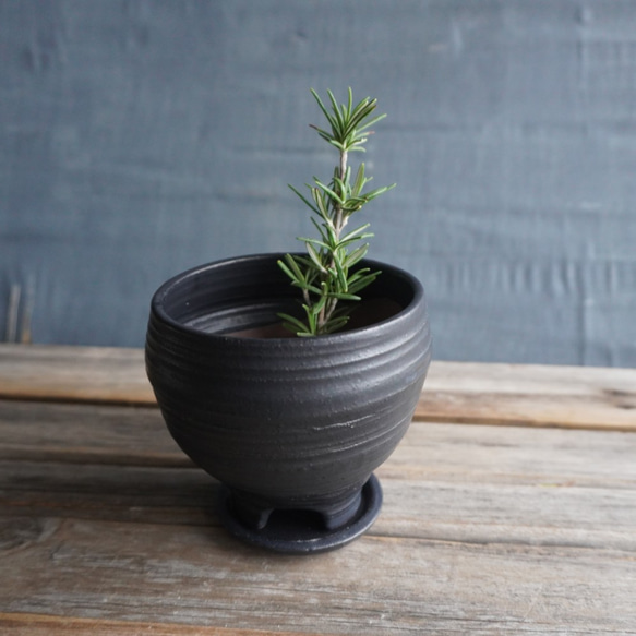 【陶器】黒い植木鉢　送料無料 10枚目の画像
